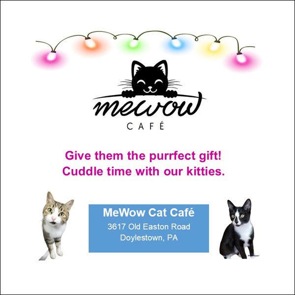 MeWow Cat Cafe