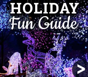 Holiday Fun Guide