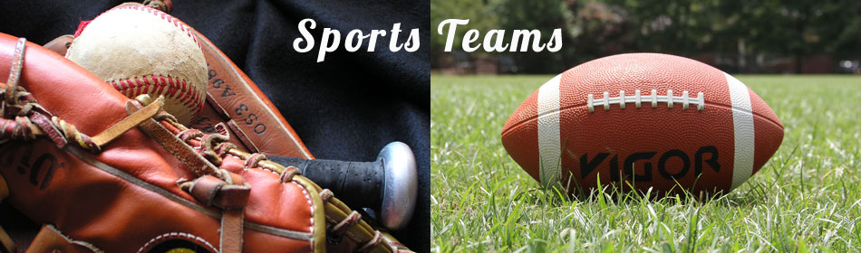 Sports teams, football, baseball, hockey, minor league teams in the Clinton, Hunterdon County NJ area